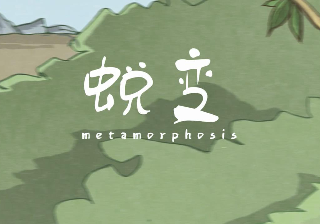问鼎娱乐